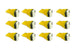 Photo - Primary